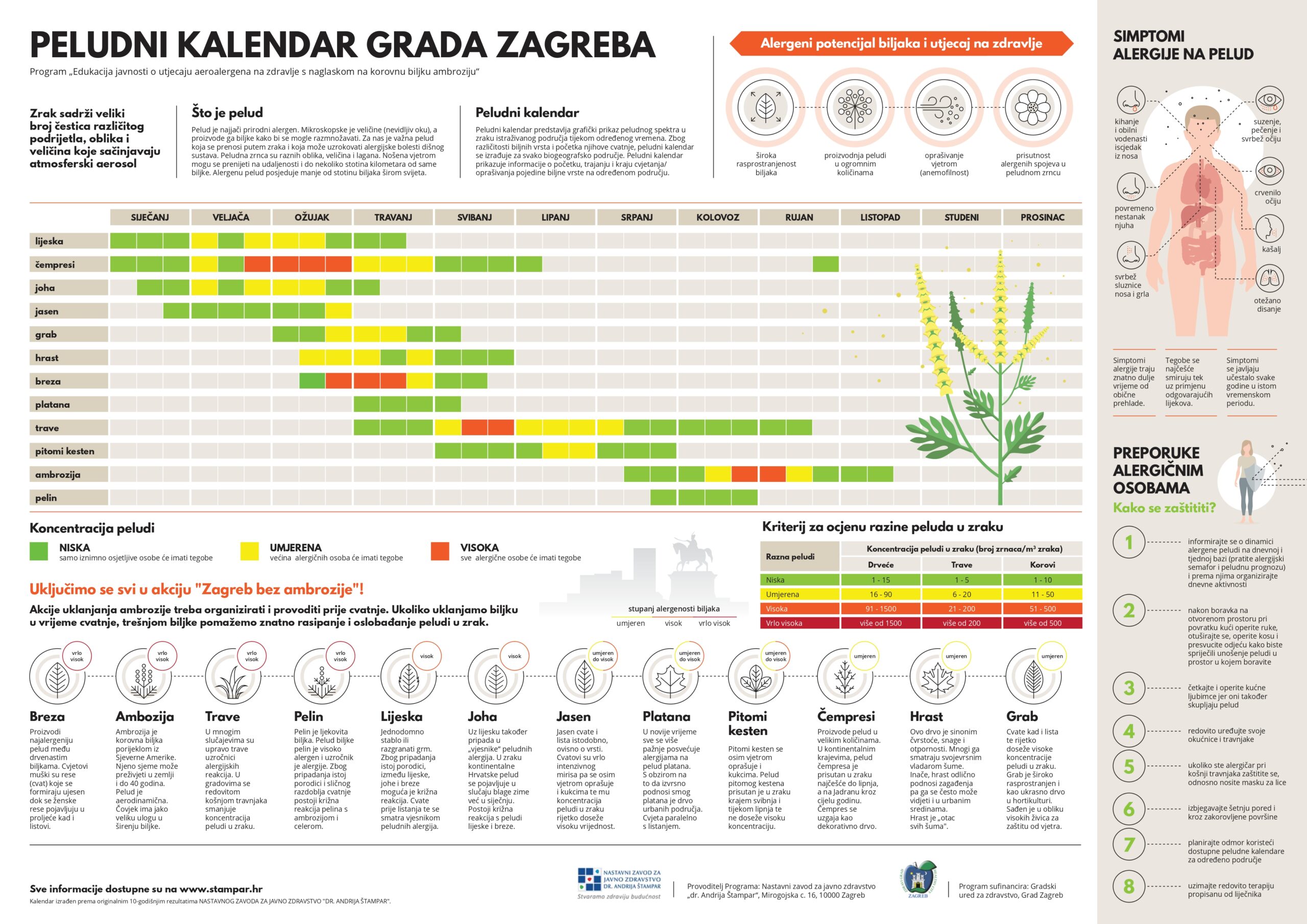 Календарь цветения для аллергиков 2024. Календарь цветения. Календарь цветения растений. Календарь цветения аллергенных растений. Периоды цветения для аллергиков.